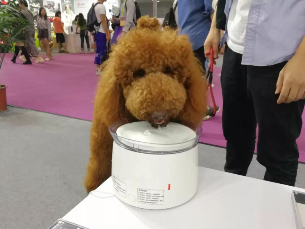 QQ浏览器截图20250614123836.png